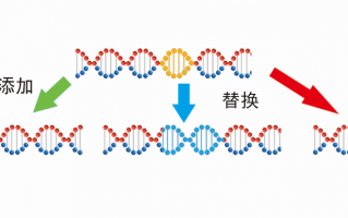 基因删除技术 今日科普｜什么是基因敲除它和基因编辑有啥不同