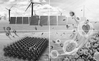 科技仿照，模仿科技