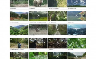 短视频制作类网站 这十个短视频素材网站，总有一个适合你