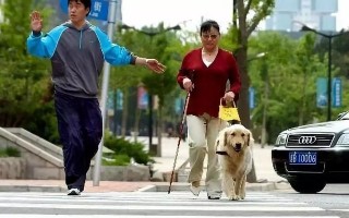 宝安西乡短视频制作 “暖”视频《为导盲犬“呆萌”过生日》引关注，竟是视障主人自己摄制