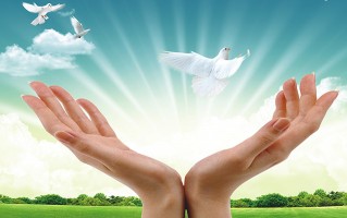 正虹科技技术分析 5月19日正虹科技（000702）涨停分析：农垦改革，产业链整合驱动